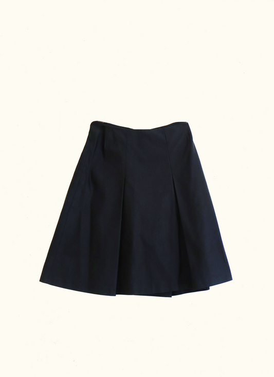 Pleated Cotton Skirt, Alberta Ferretti